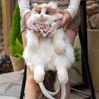 Ragdoll Cat Backpack ? Cozy Companion for Travel & School