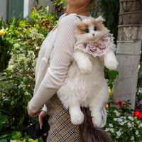 Ragdoll Cat Backpack ? Cozy Companion for Travel & School