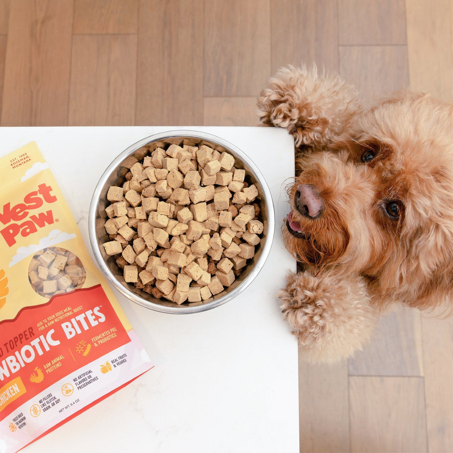 Dog Food Food Chicken Food Topper for for Daily Use Essentia - lifestyle product image for dog food