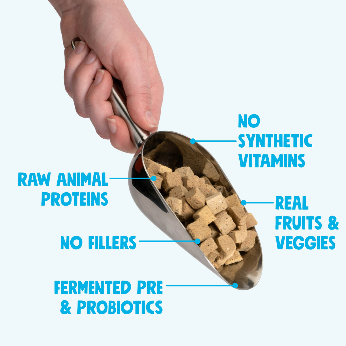 Dry Dog Food Chicken Meal Topper Daily Nutrition Boost - close up view