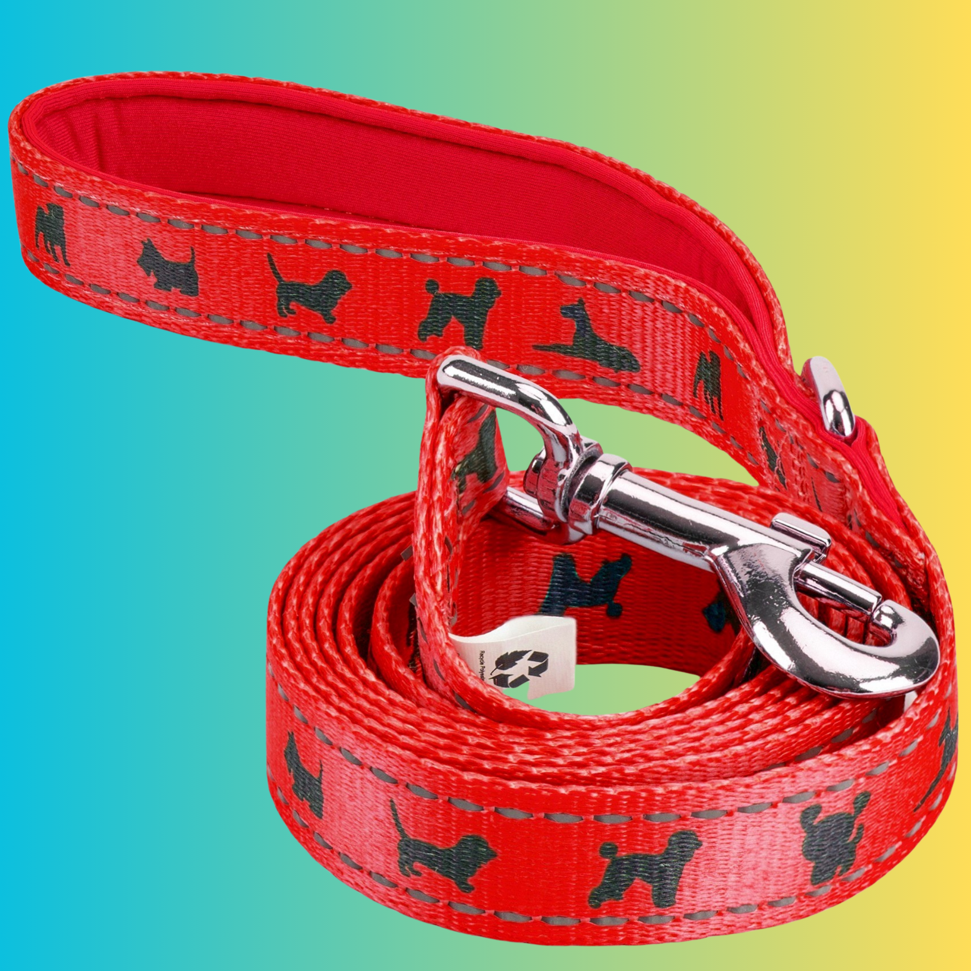 Eco Style Dog Leash for Daily Walks for Royal Pet Homes - Dog Leash view 17 from Purrfect Pet Kingdom