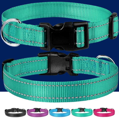 Adjustable Reflective Nylon Dog Collar – Enhanced Safety