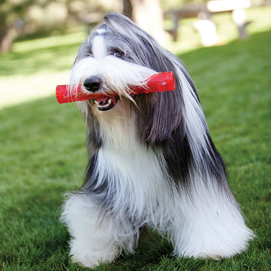 KONG Squeezz Ring Large Interactive Dog Toy Durable Play - detail view