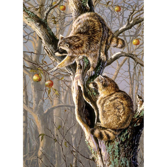 Ringtail Raiders 1000 Piece Jigsaw Puzzle Cobble Hill