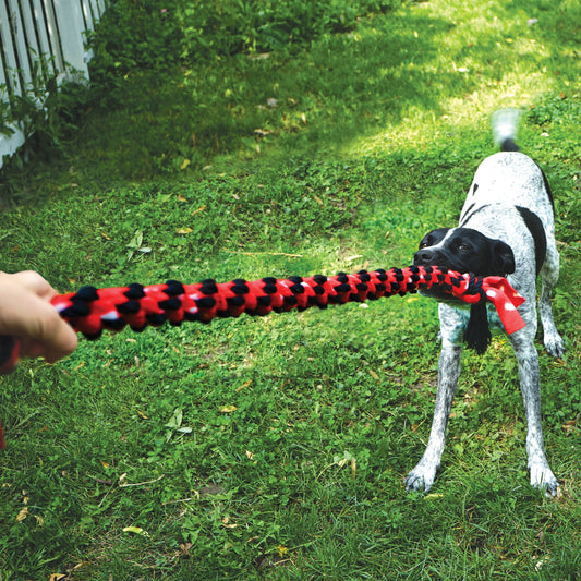 KONG Signature Rope Dual Knot Tug Dog Toy Durable Play - detail view