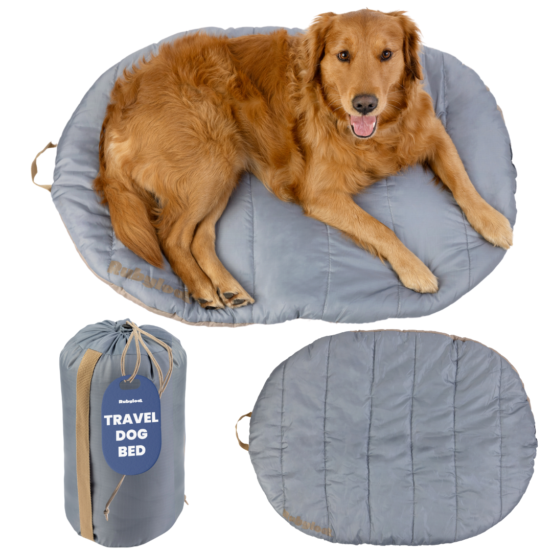 Travel Dog Bed Foldable Water Resistant 🐾