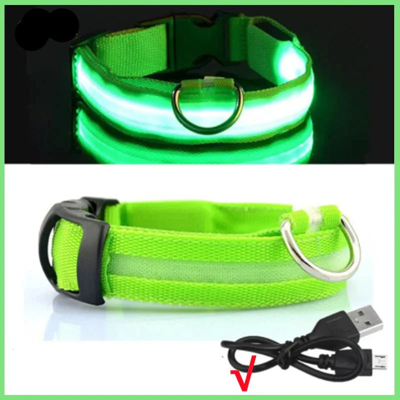 USB Rechargeable LED Glowing Dog Collar – Adjustable Night Safety - WTN Essentials