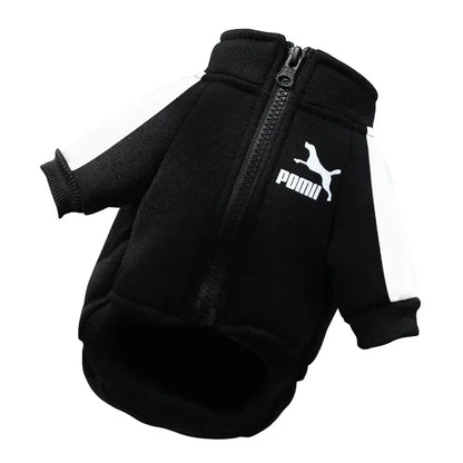 Cozy Dog Sweater - Winter Pet Clothing