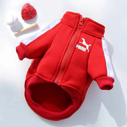 Cozy Dog Sweater - Winter Pet Clothing