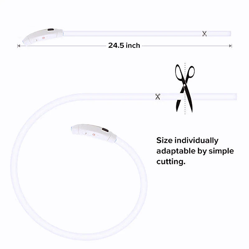 USB Rechargeable LED Glowing Dog Collar – Adjustable Night Safety - WTN Essentials