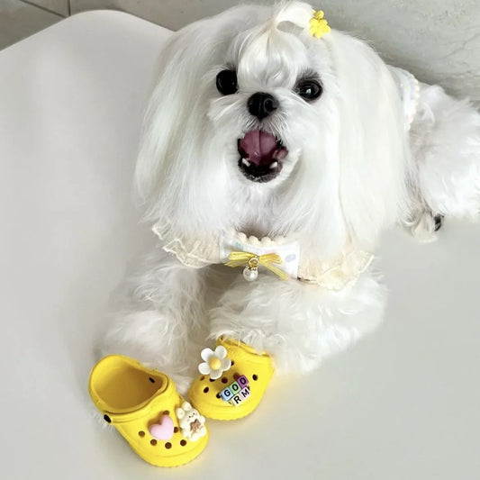 🏖️ Trendy Pet Beach Shoes - Instagram-Worthy Breathable Paradise with DIY Charm
