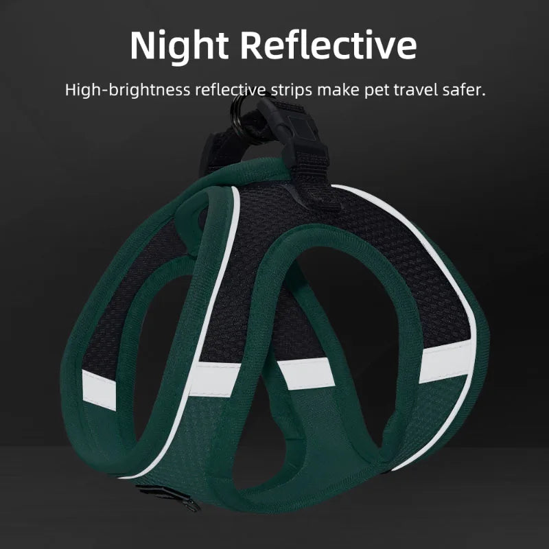 Adjustable Dog Harness & Leash Set for Small Dogs – Comfortable & Safe Walking Gear - WTN Essentials