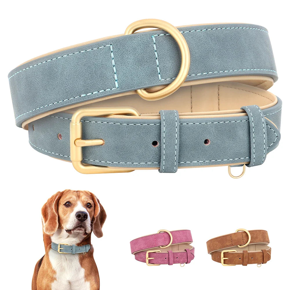 Durable Soft Padded Leather Dog Collar – Adjustable for All Sizes - WTN Essentials