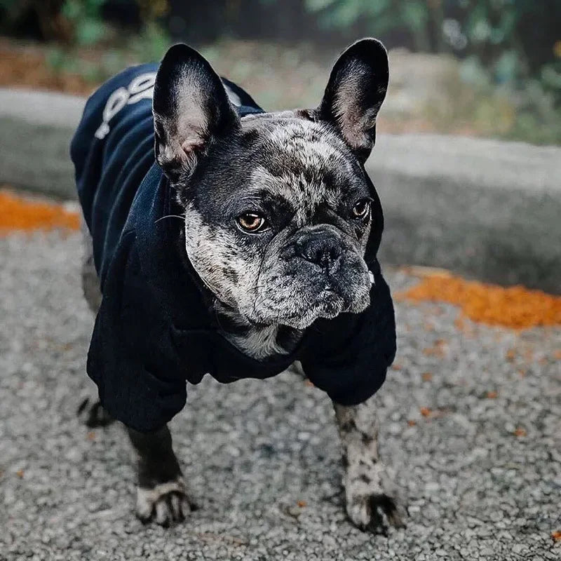 Dog Face Print Hoodie - Winter Jacket for Large Dogs