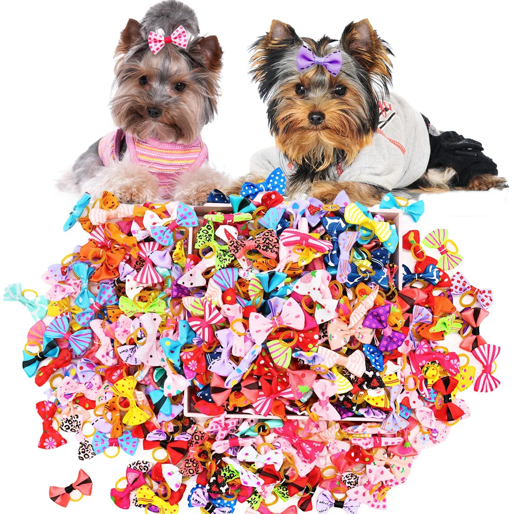 Adorable Dog Hair Bow Set - 30 Piece Grooming Accessories - Pet Grooming Accessories - Tail chasers