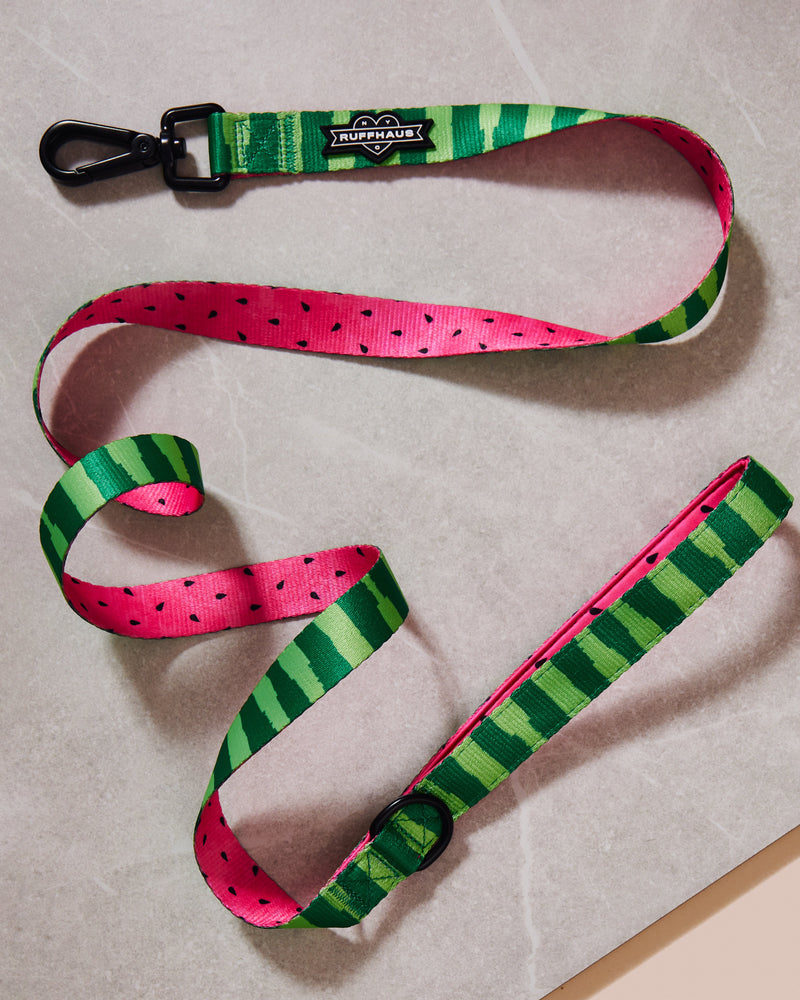 What-A-Melon Dog Leash