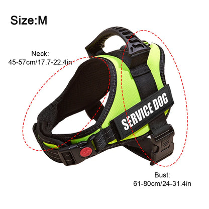 Safety No-Pull Harness for Small Dogs