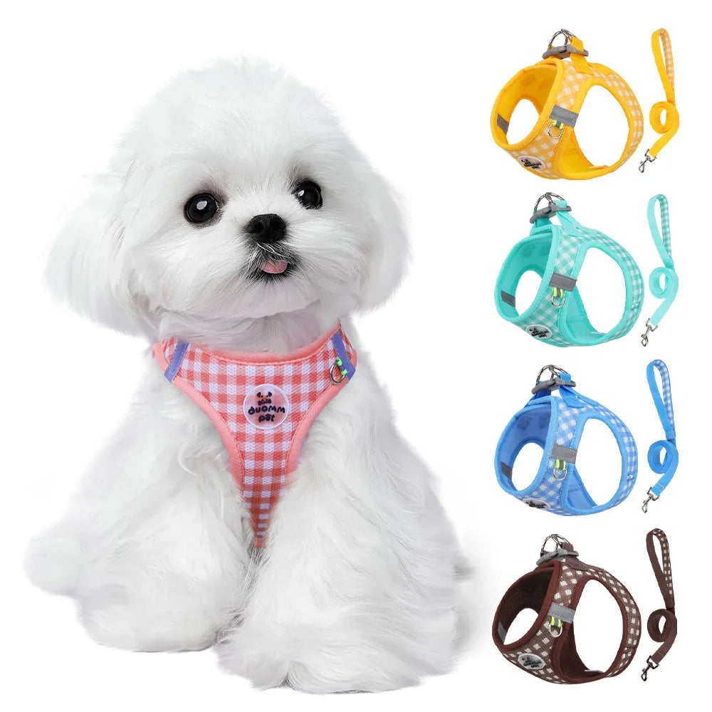 Checkered Dog Harness and Leash Set for Safe Pet Walking