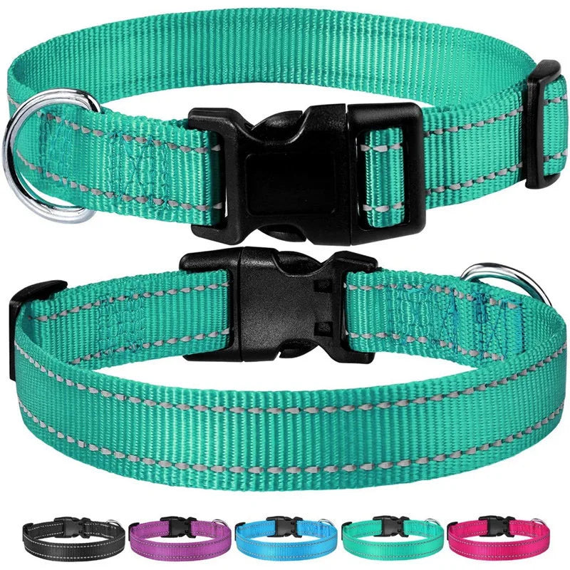Reflective Adjustable Nylon Dog Collar Strap – Safety