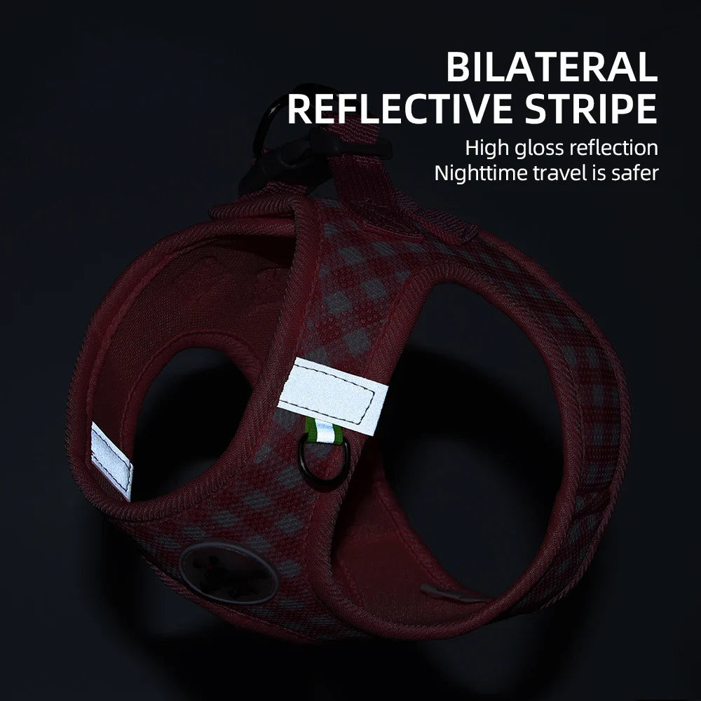 Checkered Dog Harness and Leash Set for Safe Pet Walking