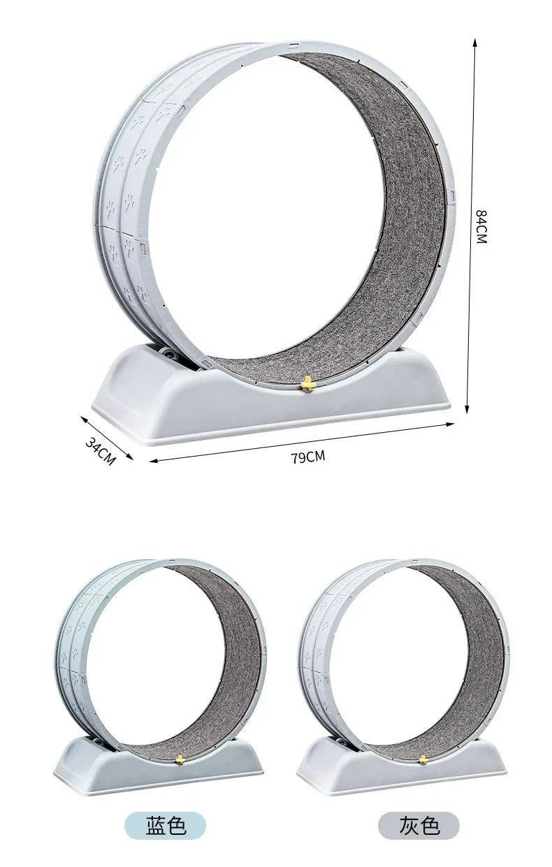 Silent Cat Exercise Wheel - Tail chasers