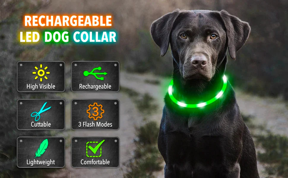 USB Rechargeable LED Glowing Dog Collar – Adjustable Night Safety - WTN Essentials