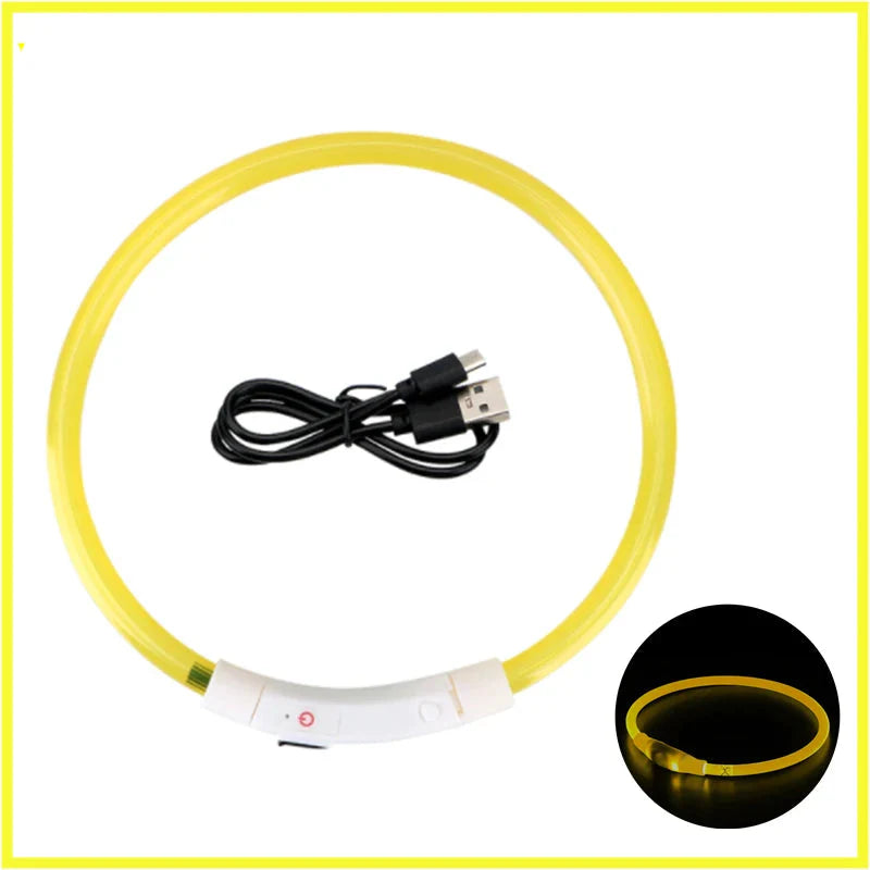 USB Rechargeable LED Glowing Dog Collar – Adjustable Night Safety - WTN Essentials