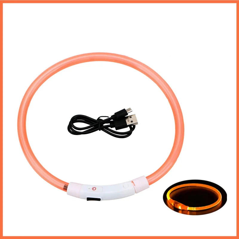 USB Rechargeable LED Glowing Dog Collar – Adjustable Night Safety - WTN Essentials