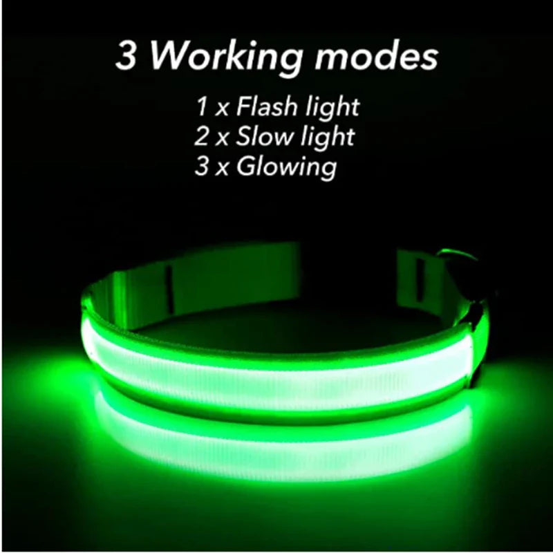 USB Rechargeable LED Glowing Dog Collar – Adjustable Night Safety - WTN Essentials