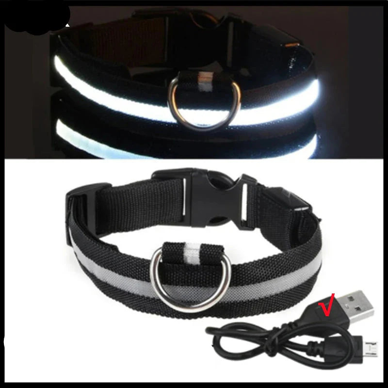 USB Rechargeable LED Glowing Dog Collar – Adjustable Night Safety - WTN Essentials