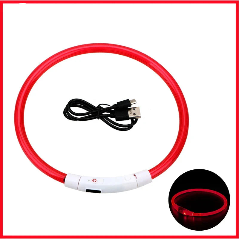 USB Rechargeable LED Glowing Dog Collar – Adjustable Night Safety - WTN Essentials