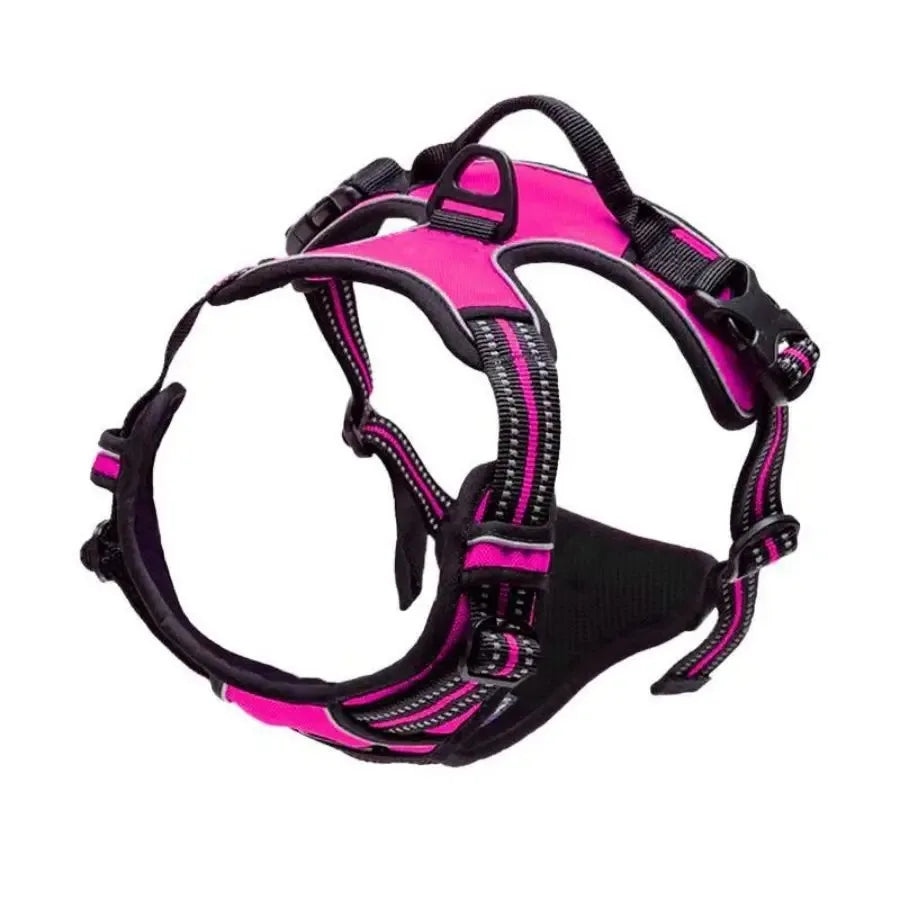 Dog Collar, Harness & Leash Set – Leather for Small & Medium Dogs