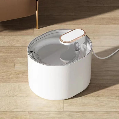 Cat Dog water dispenser cats drink water not wet mouth