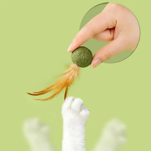Cat Catnip Toy Feather Ball Teeth Cleaning ✅