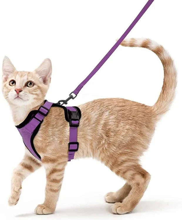 Escape-Proof Cat Harness & Leash Set - Purrfect Pet Kingdom