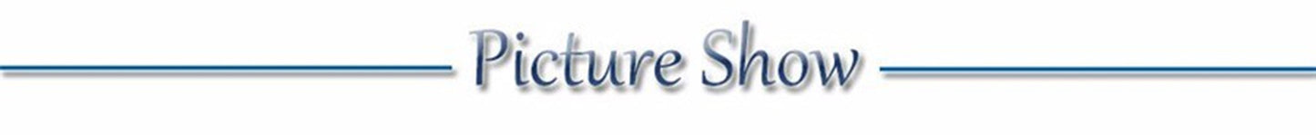 USB Rechargeable LED Glowing Dog Collar – Adjustable Night Safety - WTN Essentials