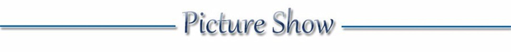 USB Rechargeable LED Glowing Dog Collar – Adjustable Night Safety - WTN Essentials