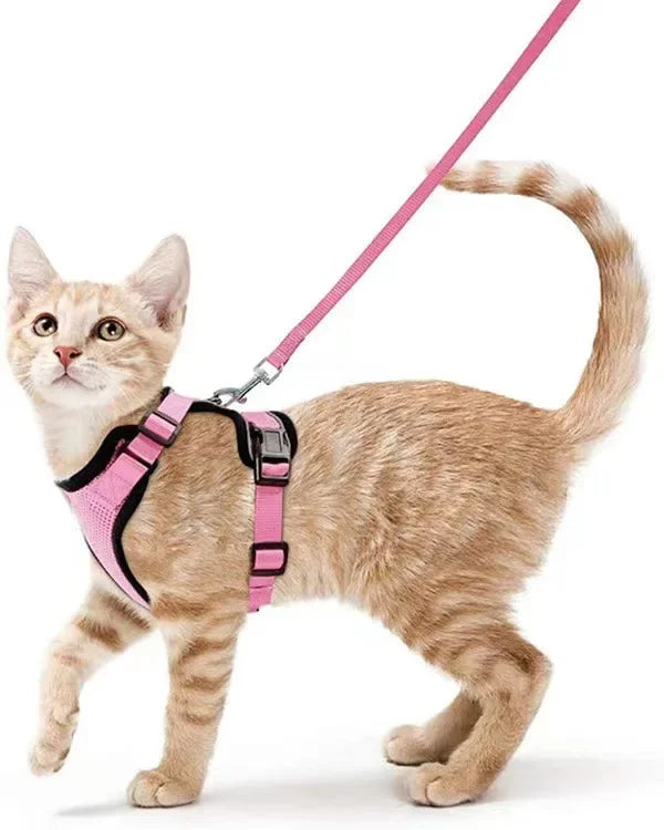 Escape-Proof Cat Harness & Leash Set - Purrfect Pet Kingdom