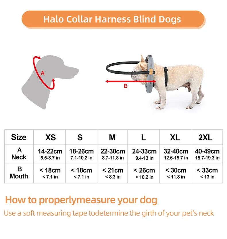 Blind Dog Safety Collar - Purrfect Pet Kingdom