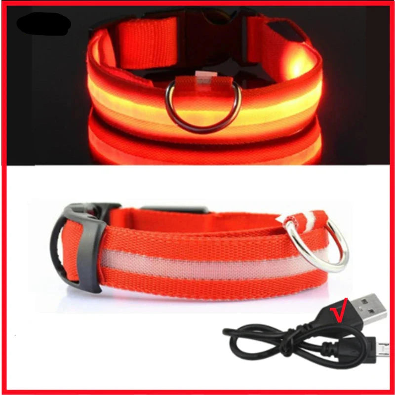 USB Rechargeable LED Glowing Dog Collar – Adjustable Night Safety - WTN Essentials