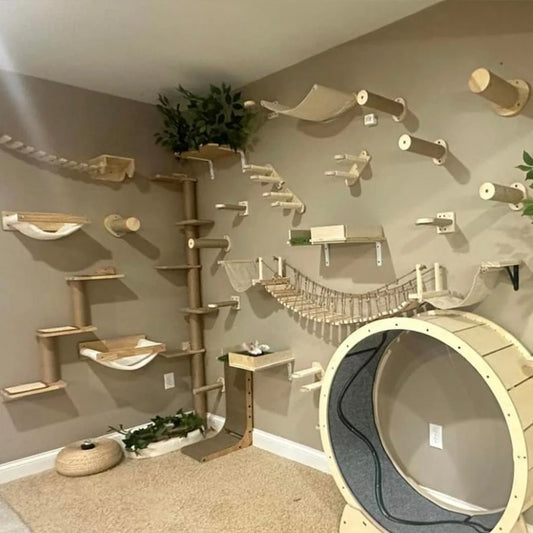 Wall Mounted Cat Tree Shelves Hammock Ladder Space Saving ✅