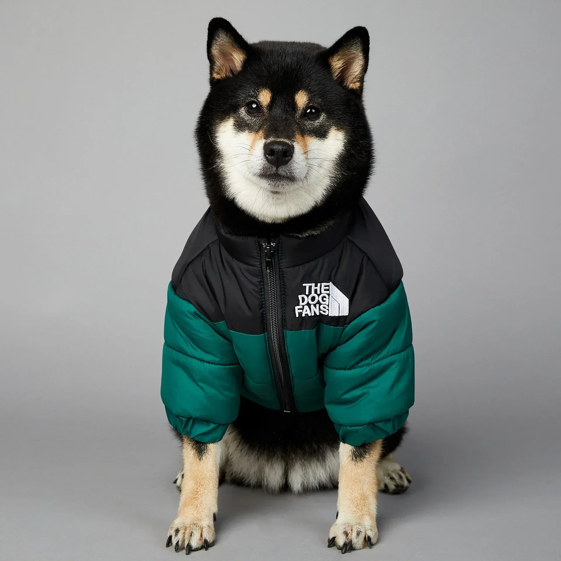 Winter Dog Down Jacket - Warm Thick Vest - Purrfect Pet Kingdom