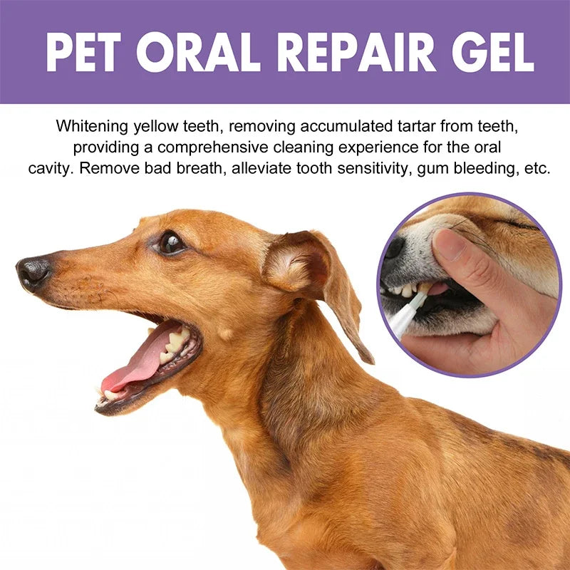 Pet Teeth Cleaning Pen - Oral Care for Dogs & Cats - Purrfect Pet Kingdom