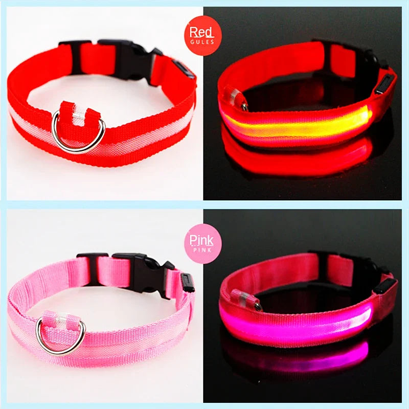 USB Rechargeable LED Glowing Dog Collar – Adjustable Night Safety - WTN Essentials