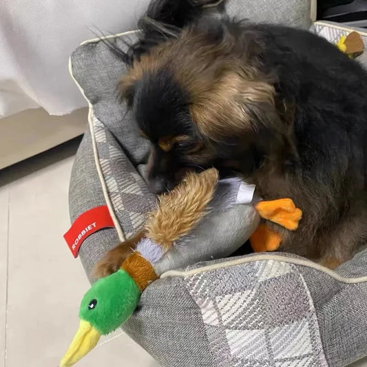 Plush Duck Dog Squeaky Toy 🦆