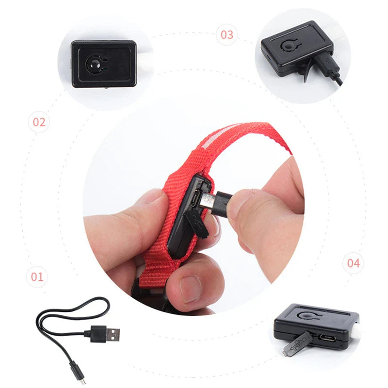 USB Rechargeable LED Glowing Dog Collar – Adjustable Night Safety - WTN Essentials
