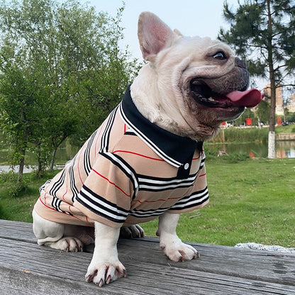 Tan Stripe Polo Dog Shirt