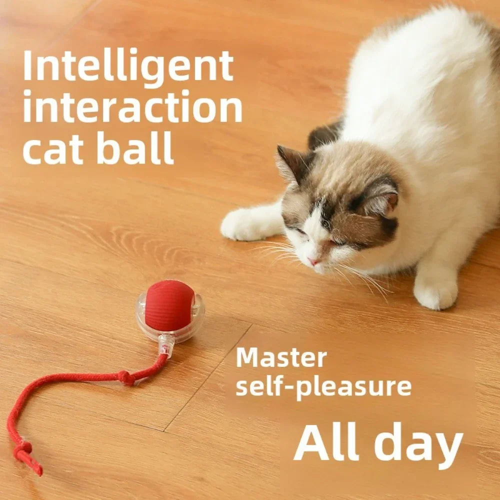 Rechargeable Smart Pet Interactive Automatic Rolling Ball