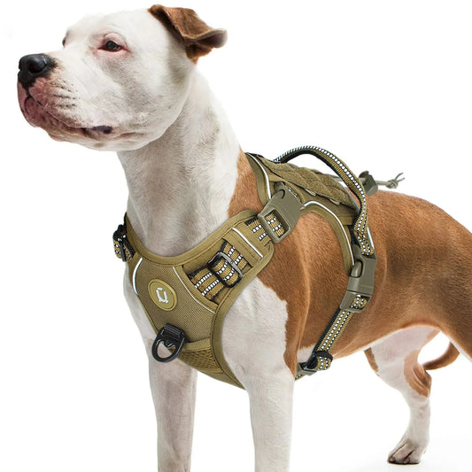 Elite Tactical No-Pull Dog Harness With Integrated Molle Ge