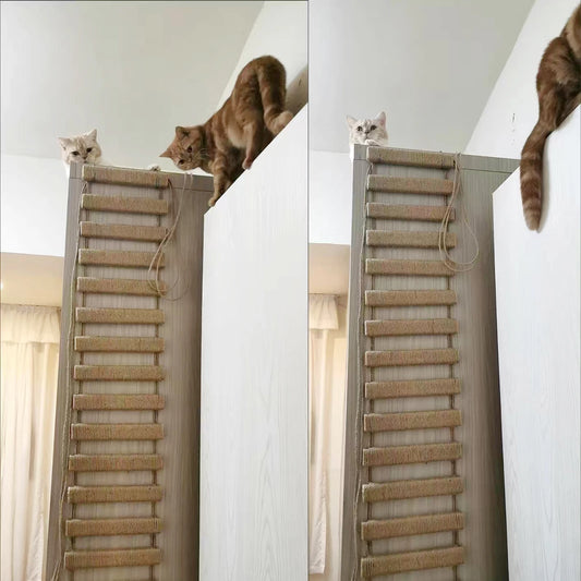 Cat Climbing Frame Bridge Ladder Sisal Rope 🐱